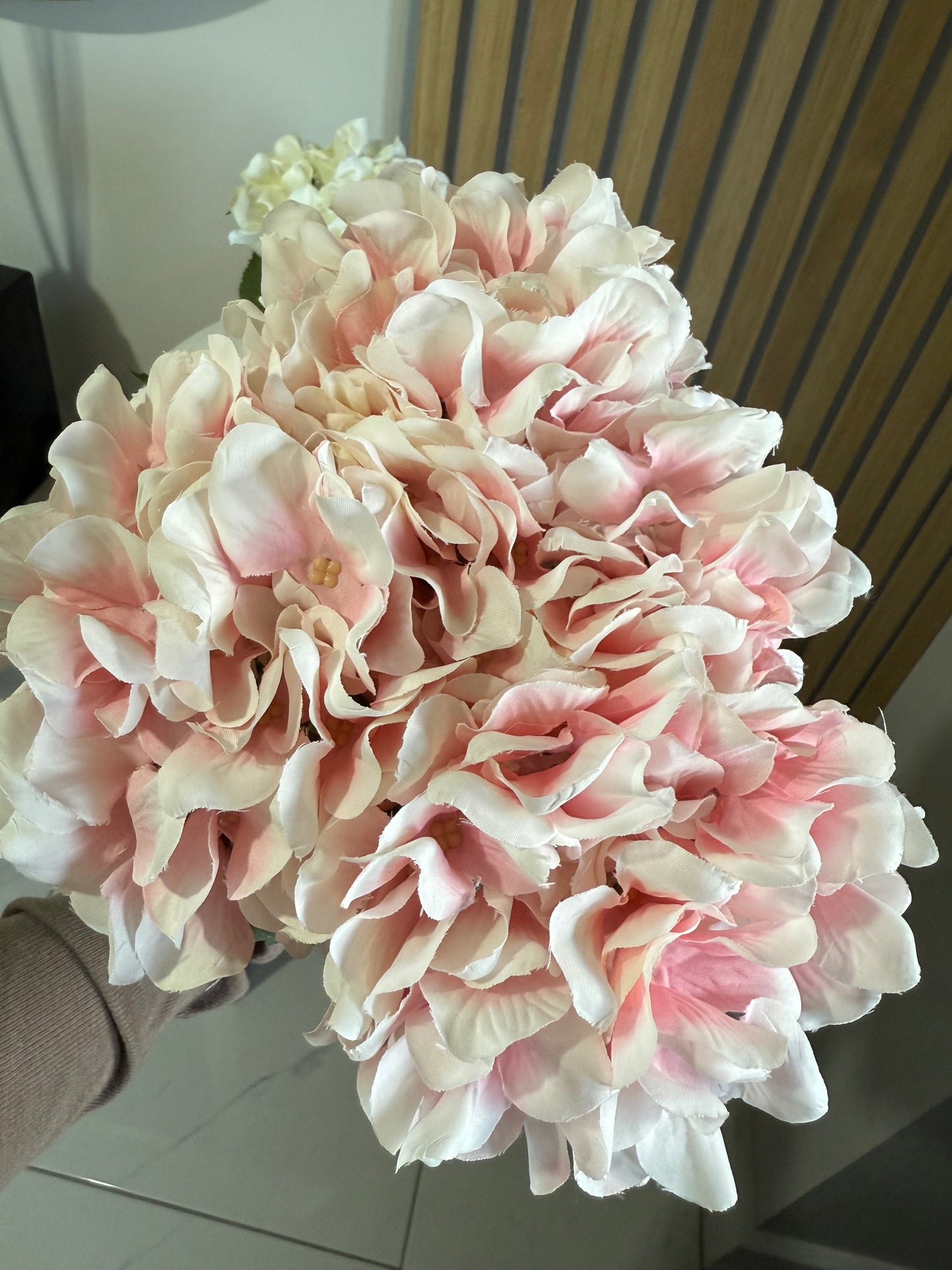 Pink Hydrangea Stem