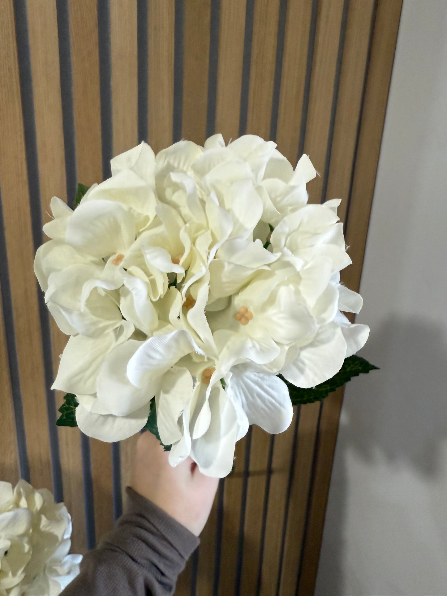Cream Hydrangea Stem