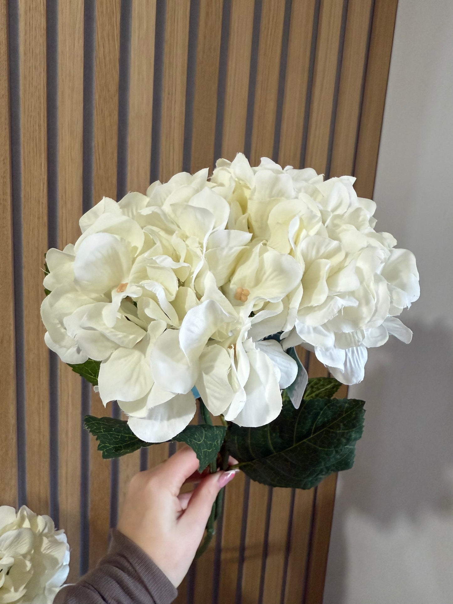 Cream Hydrangea Stem