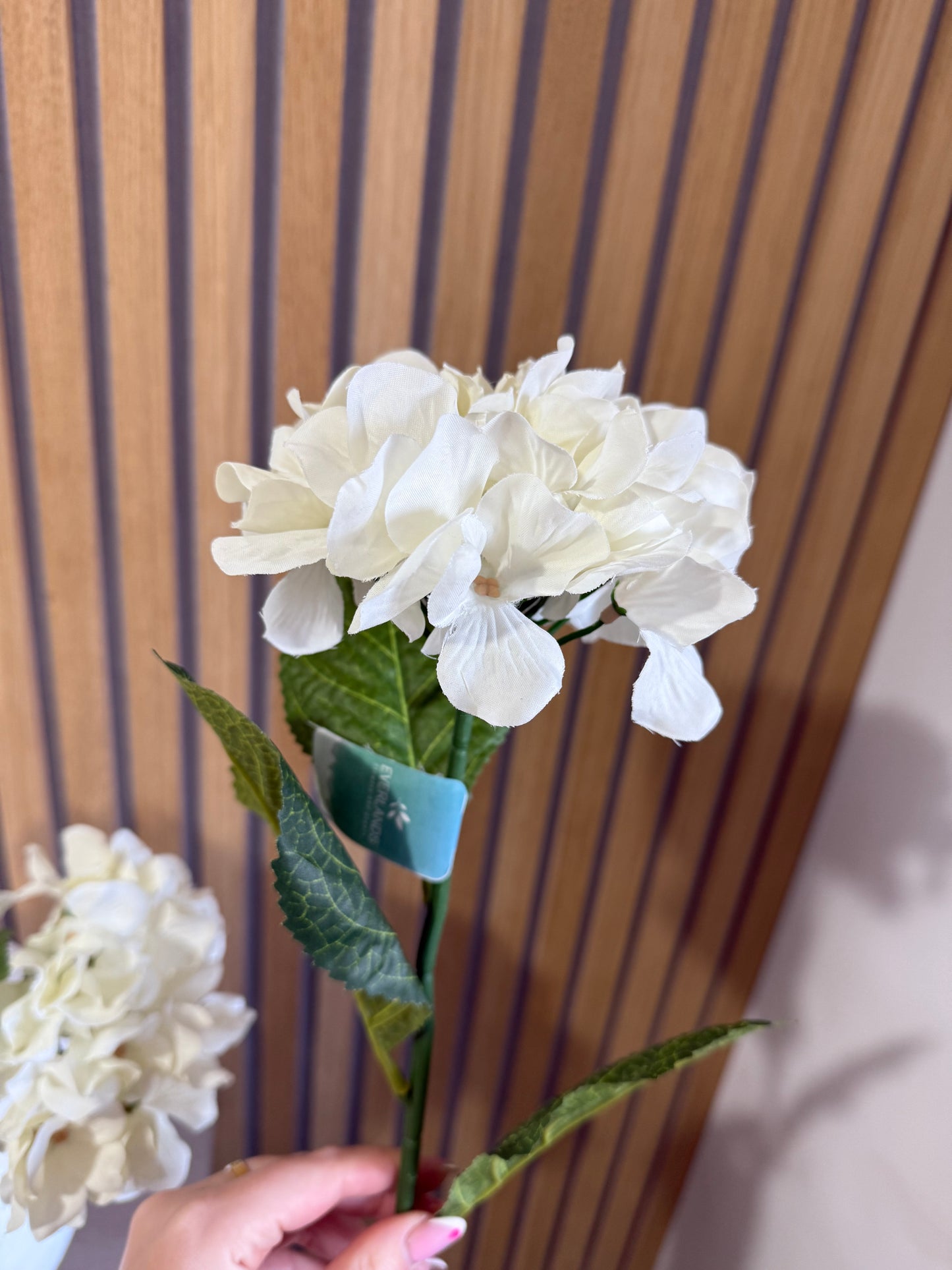 Cream Hydrangea Stem