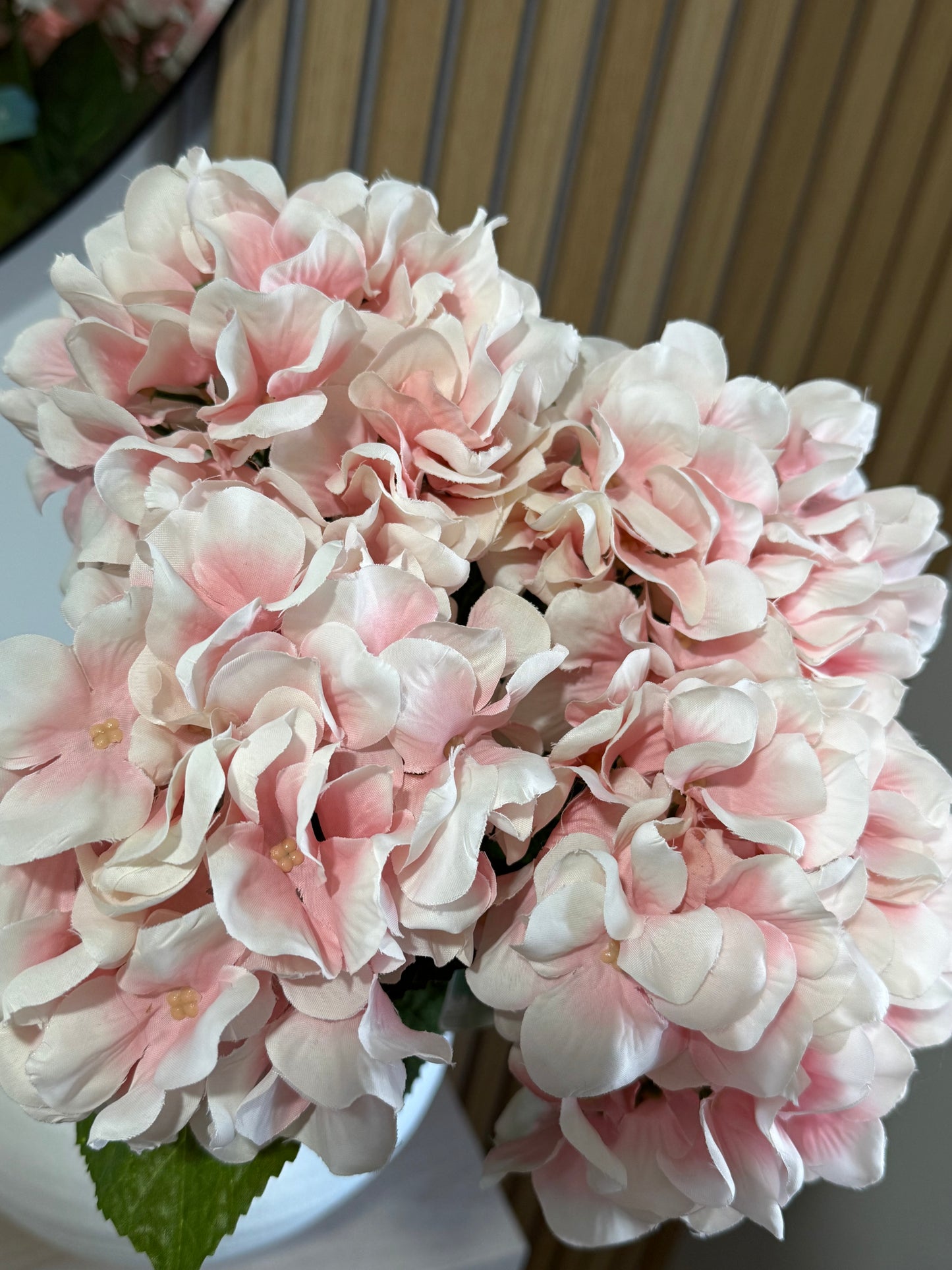 Pink Hydrangea Stem