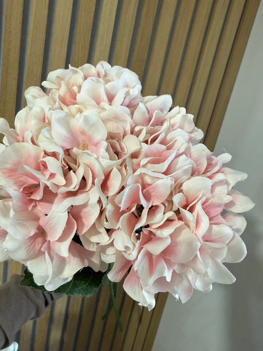 Pink Hydrangea Stem