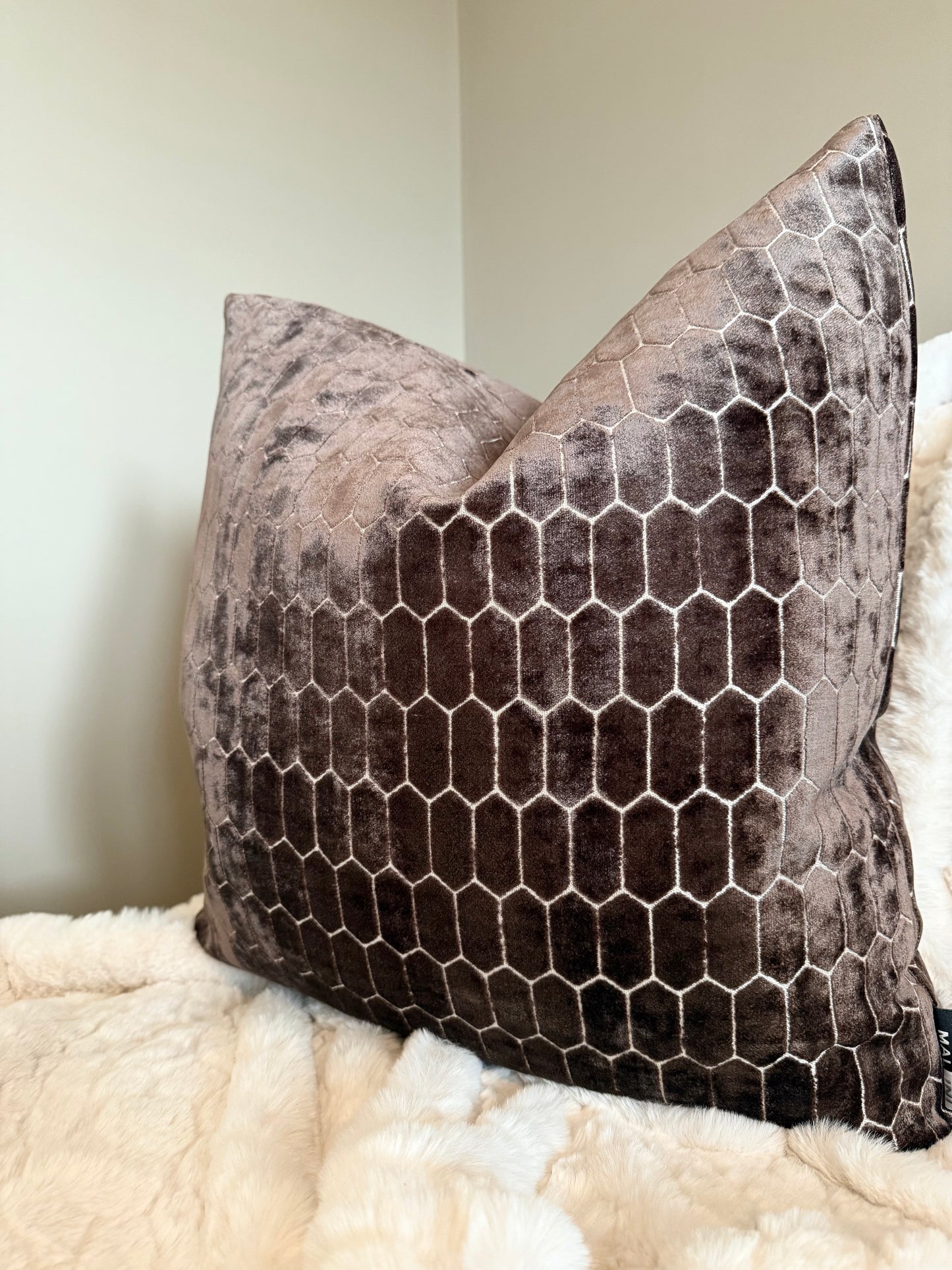 Albie Chocolate Large Cushion 22"