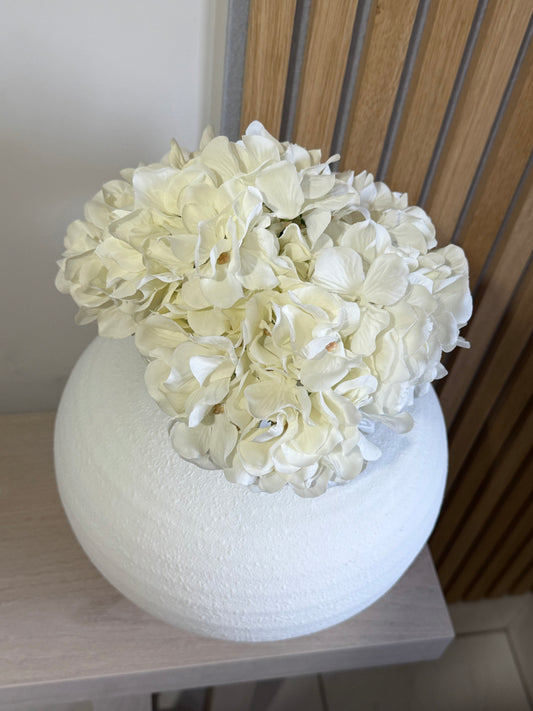 Cream Hydrangea Stem
