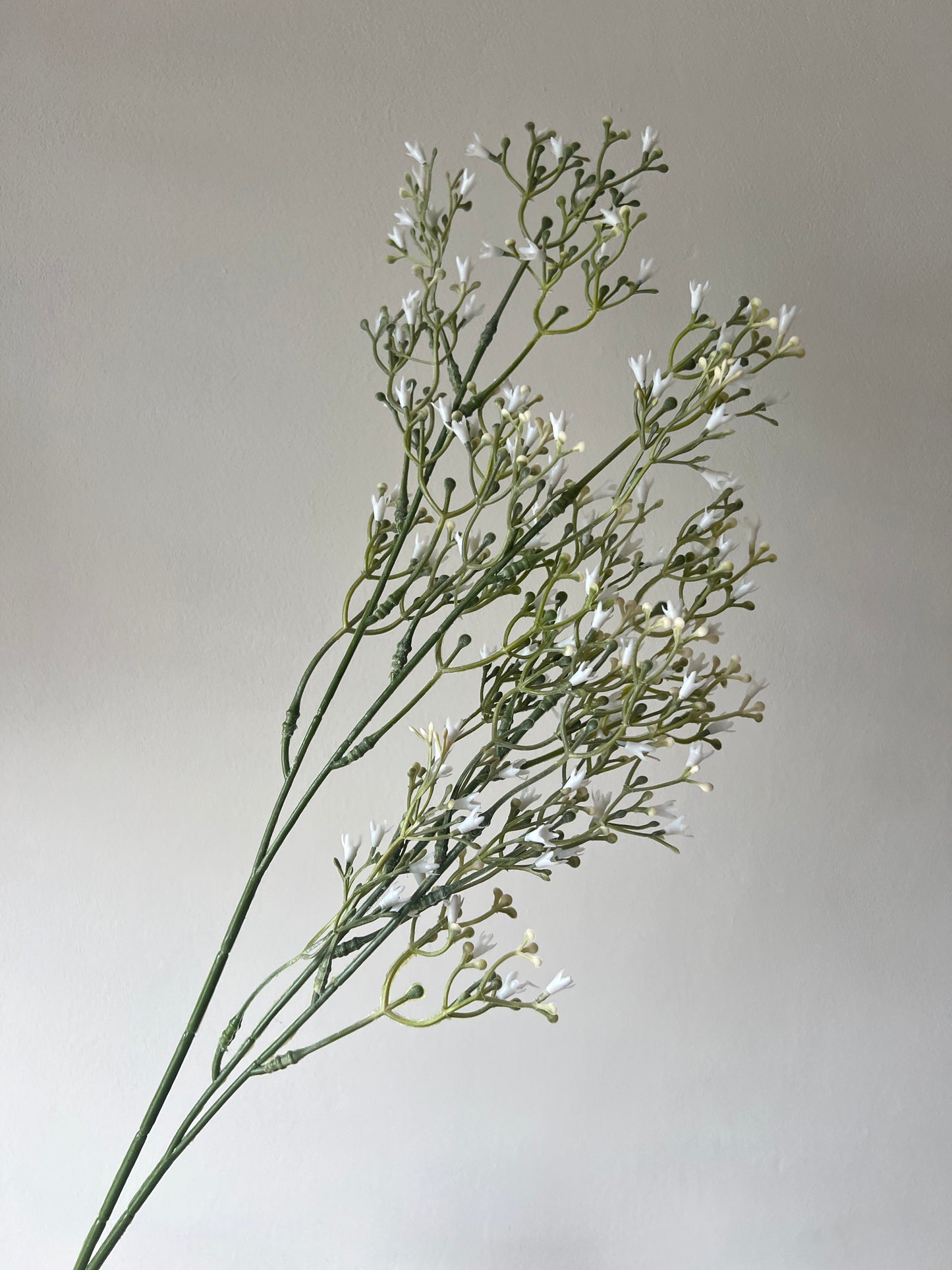 White Gypsophila Spray